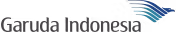 General aviation logo